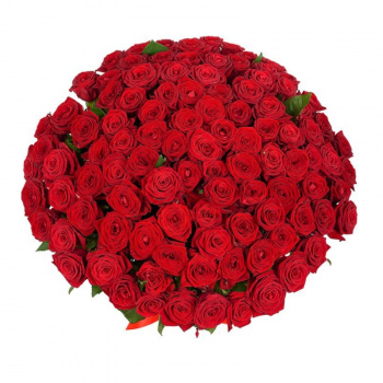 Букет из 101 красной розы 70 см.