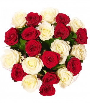 Букет из 25 красно-белых роз "Незнакомка"